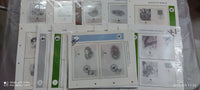WWF Blank Album pages 30 different themes Issues for FDCs with Hawid Mounts