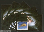 Eritrea 2001 Fish Marine Life Animals M/s Cancelled x 5 # 3956
