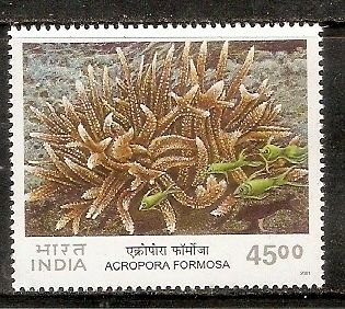 India 2001 Corals in India Marine Life Phila-1843 1v MNH