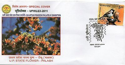 India 2011 Palash - State Flower Tree Plant Orchid Birds UPHILEX Special Cover