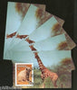 Eritrea 2001 Giraf Bear Wild Life Animals Mammal Fauna M/s Cancelled x 5 # 3635