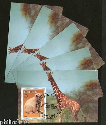 Eritrea 2001 Giraf Bear Wild Life Animals Mammal Fauna M/s Cancelled x 5 # 3635