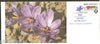 India 2011 Saffron Flowers Chinar Exhibition Srinager Special Cover # 6658