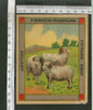 India 1960's Three Sheeps Brand Dyeing & Chemical Germany Print Vintage Label # L32 - Phil India Stamps