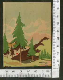 India Vintage Trade Label Valley Blank Essential Oil Label # LBL88 - Phil India Stamps