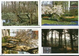 Netherlands 1999 Views During in Four Seasons Sc 1024a-d Set of 4 Max Cards # 34 - Phil India Stamps