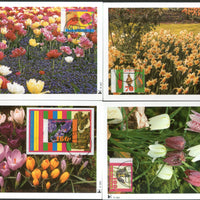 Netherlands 1996 Spring Flowers Tulip Crocuses Plant Set of 3v + M/s Max Cards # 40 - Phil India Stamps