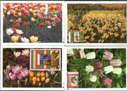 Netherlands 1996 Spring Flowers Tulip Crocuses Plant Set of 3v + M/s Max Cards # 40 - Phil India Stamps