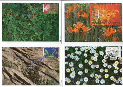 Netherlands 1994 Wild Flowers Plant Flora Sc 853-56 Set of 3v + M/s Max Cards # 5 - Phil India Stamps