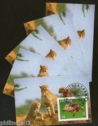 Eritrea 2001 Leopards Turtle Wild Life Reptiles Fauna M/s Cancelled x 5 # 3188