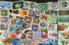 USA 50 Different Used Stamps on Flower Flora Scinence Animal Medal Love - Phil India Stamps