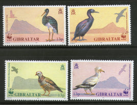 Gibraltar 1991 WWF Stork Vulture Shag Barbary Birds Wildlife Sc 591-94 MNH # 112 - Phil India Stamps