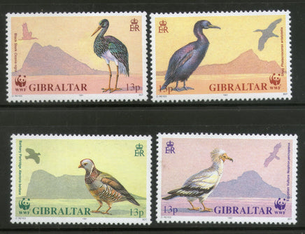 Gibraltar 1991 WWF Stork Vulture Shag Barbary Birds Wildlife Sc 591-94 MNH # 112 - Phil India Stamps