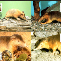 Dominican Republic 1994 WWF Solenodon Wildlife Animal Sc 1158 Set 4 Max Cards # 160 - Phil India Stamps