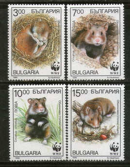 Bulgaria 1994 WWF Cricetus Hare Rabbit Wildlife Animal Mammals Fauna MNH # 170