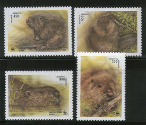 Belarus 1995 WWF Beavar Wildlife Animal Fauna Mammals MNH # 187