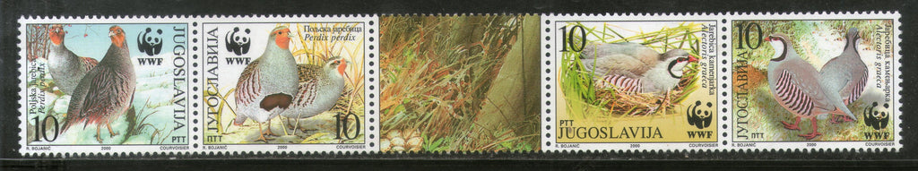 Yugoslavia 2000 WWF Birds Rock Pigeon Fauna Sc 2479 Strip 4 + Label MNH # 267