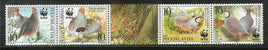 Yugoslavia 2000 WWF Birds Rock Pigeon Fauna Sc 2479 Strip 4 + Label MNH # 267