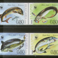 Bulgaria 2004 WWF Giant Sturgeon Fishes Marine Life Animals Sc 4329 MNH # 354