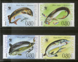 Bulgaria 2004 WWF Giant Sturgeon Fishes Marine Life Animals Sc 4329 MNH # 354