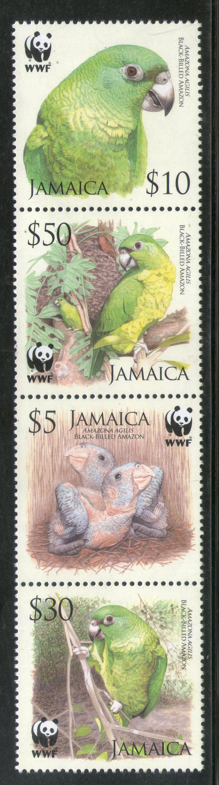 Jamaica 2006 WWF Black-billed Amazon Parrot Birds Wildlife Fauna Sc 1054-57 MNH # 393