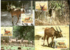 Mali 1986 WWF Derby Eland Antelope Wildlife Animal Sc 542-46 Set of 4 Max Cards # 40 - Phil India Stamps