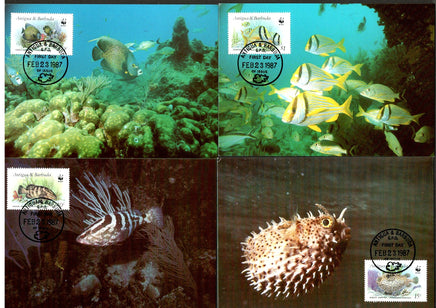 Antigua & Barbuda 1987 WWF Fishes Marine Life Corals Fauna Sc 1010 Max Cards # 49 - Phil India Stamps