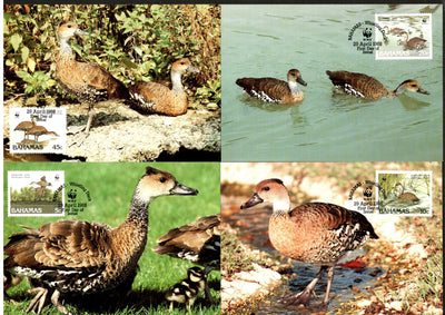 Bahamas 1988 WWF Whistling Duck Bird Wildlife Animal Sc 645-8 Set of 4 Max Cards # 66 - Phil India Stamps