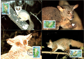 Tanzania 1989 WWF Bushbabies Wildlife Animals Sc 468-71 Set of 4 Max Cards # 76 - Phil India Stamps