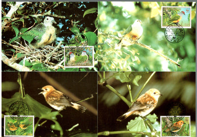 Cook Island 1989 WWF Endangered Bird Wildlife Animal Sc 1016-9 Set of 4 Max Cards # 87 - Phil India Stamps