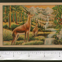 India Waterfall Deer Rose Vintage Trade Textile Label Multi-colour # 556-29 - Phil India Stamps