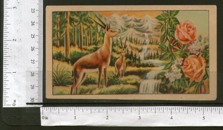 India Waterfall Deer Rose Vintage Trade Textile Label Multi-colour # 556-29 - Phil India Stamps