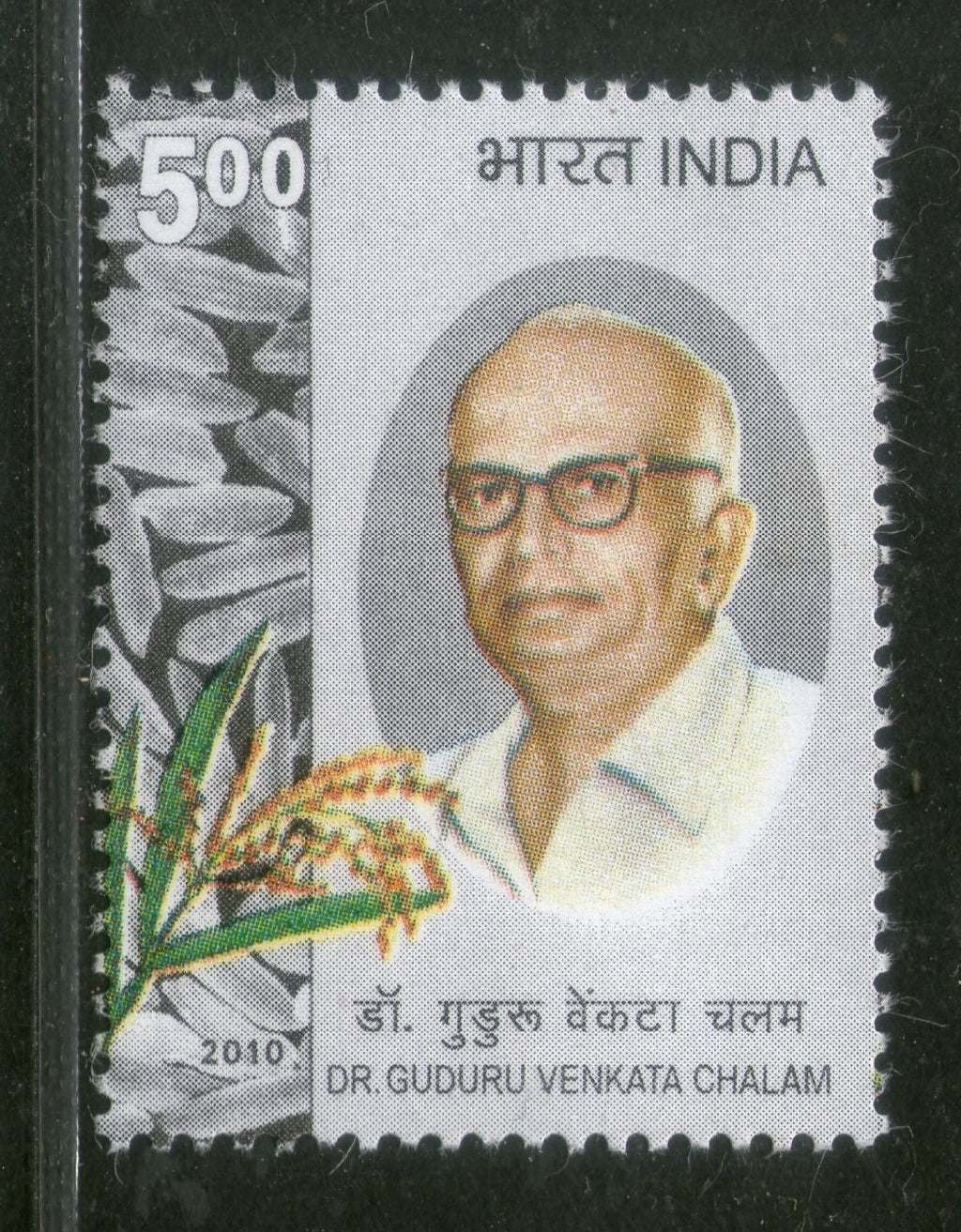 India 2010 Dr. Guduru Venkatachalam Agriculture Phila-2594  MNH
