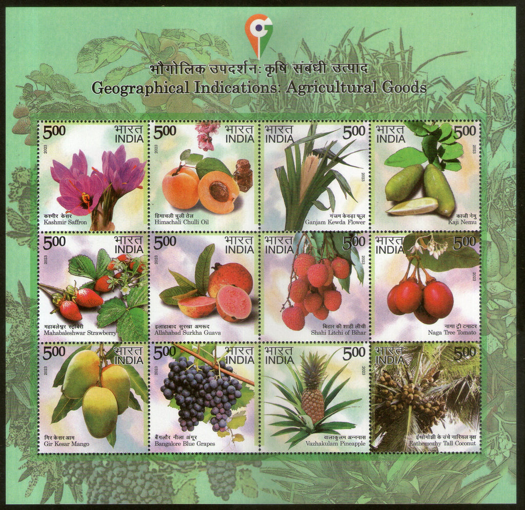 India 2023 Geographical Indications Agricultural Goods Fruits 12v Sheetlet MNH